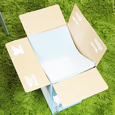 箱詰めしたクリアファイル